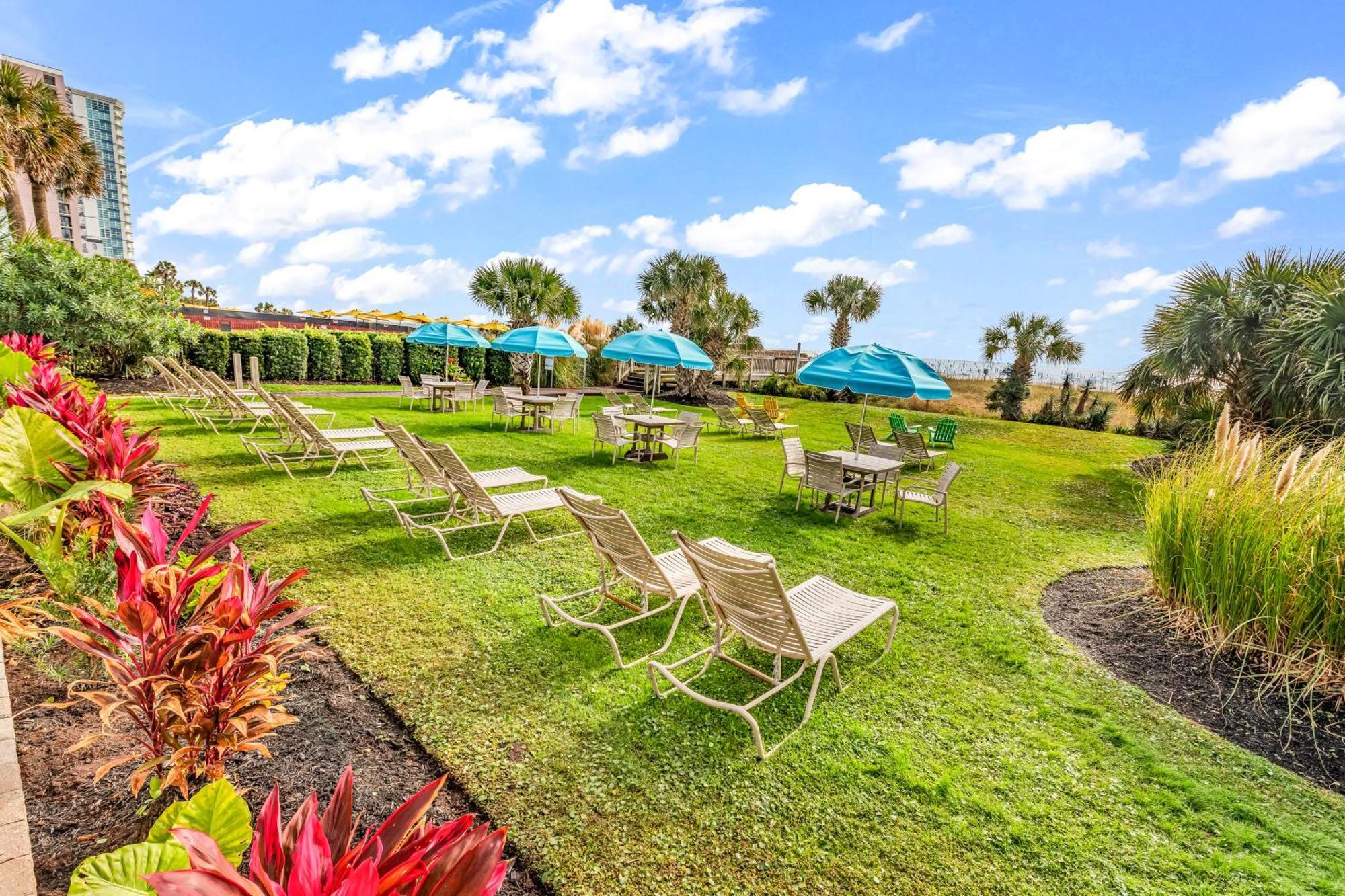 5Th Floor Direct Oceanfront Double Suite Sleeps 6 Meridian Plaza 503 شاطئ ميرتل المظهر الخارجي الصورة